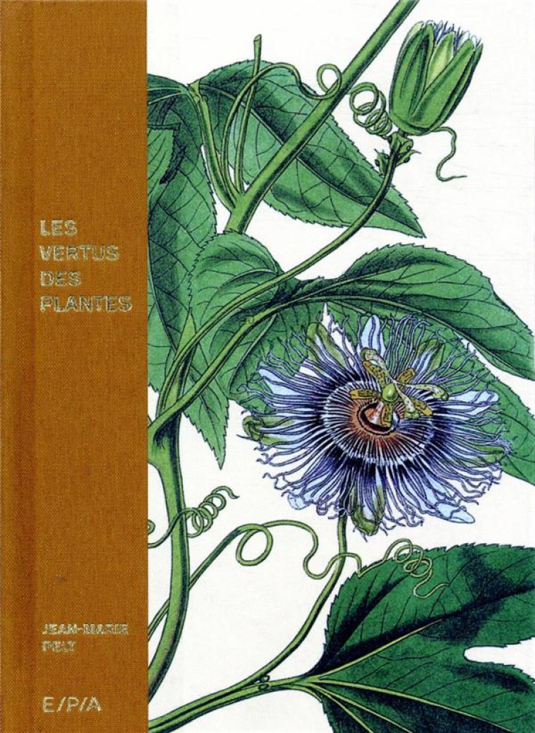 LES VERTUS DES PLANTES - PELT JEAN-MARIE - EPA