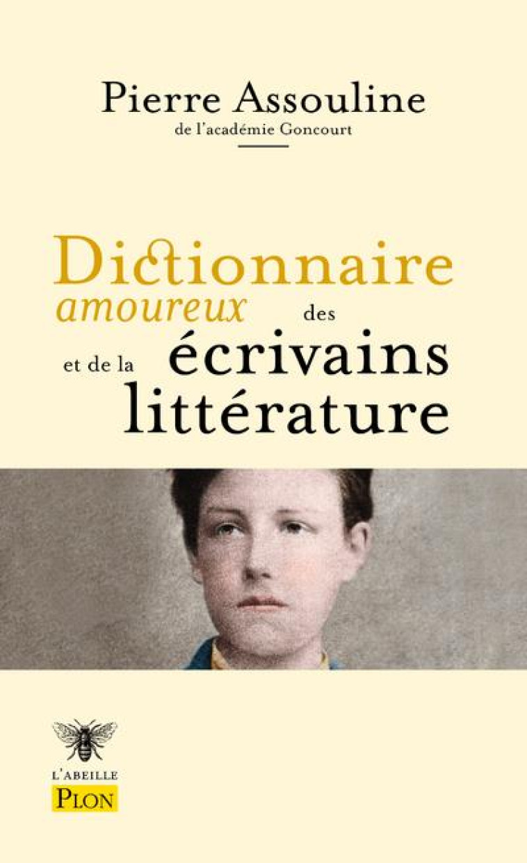 DICTIONNAIRE AMOUREUX DES ECRI - BOULDOUYRE/ASSOULINE - PLON