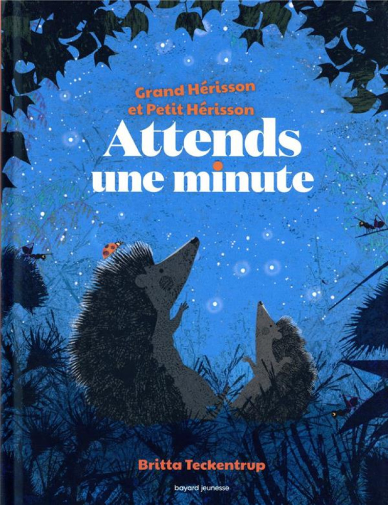 ATTENDS UNE MINUTE - TECKENTRUP BRITTA - BAYARD JEUNESSE