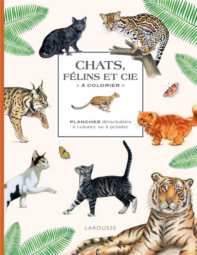 CHATS, FELINS ET CIE A COLORIE - XXX - NC