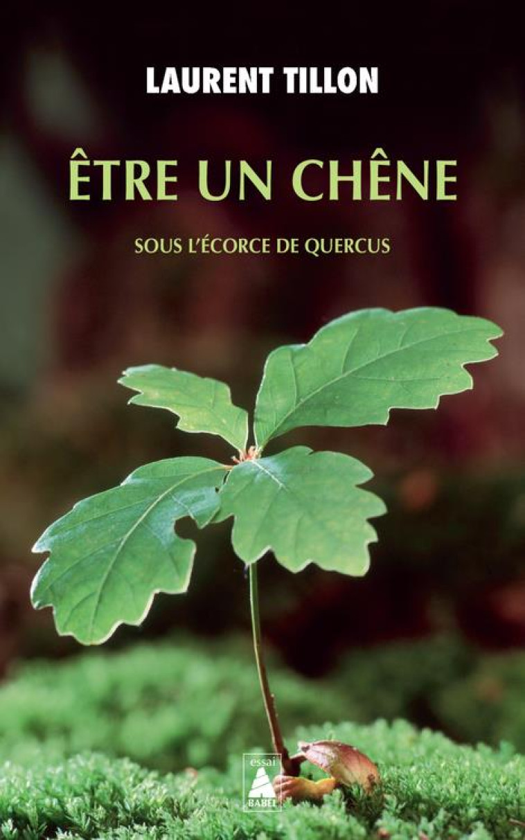 ETRE UN CHENE - SOUS L-ECORCE - TILLON LAURENT - ACTES SUD