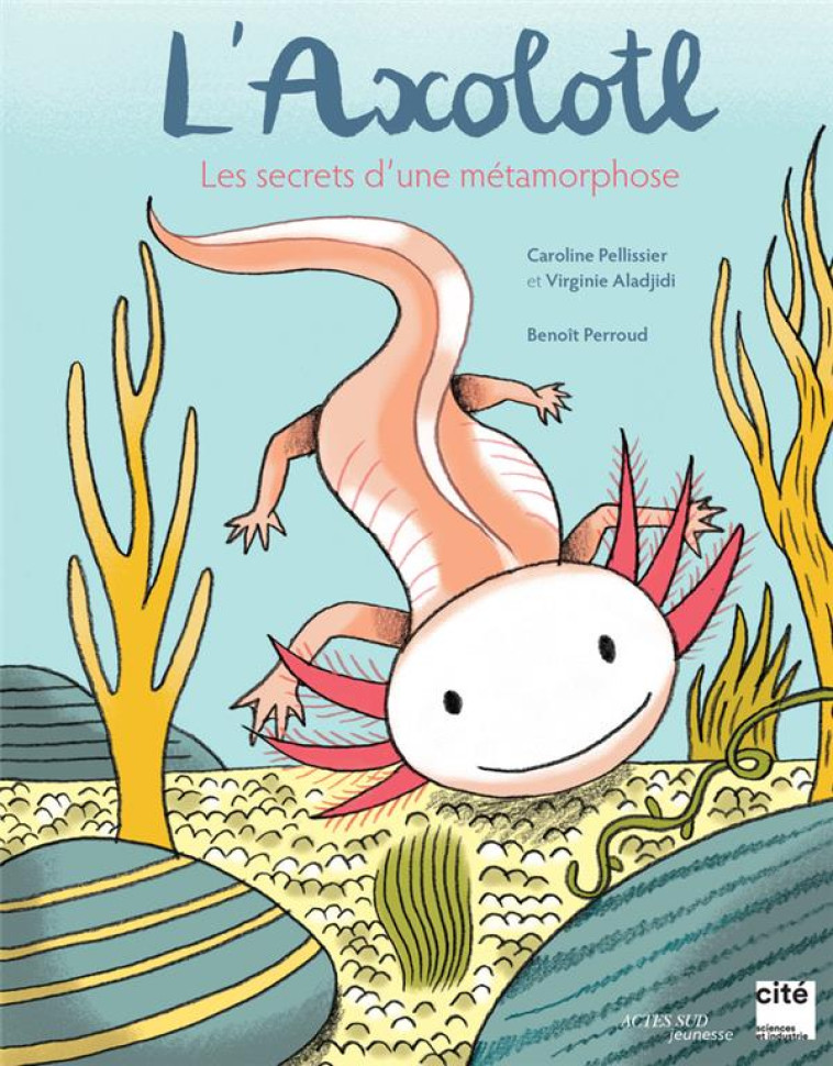 L-AXOLOTL, LES SECRETS D-UNE M - PELLISSIER/ALADJIDI - ACTES SUD