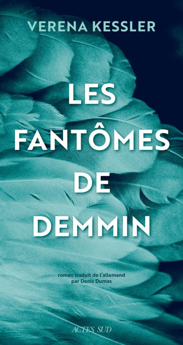 LES FANTOMES DE DEMMIN - KESSLER VERENA - ACTES SUD