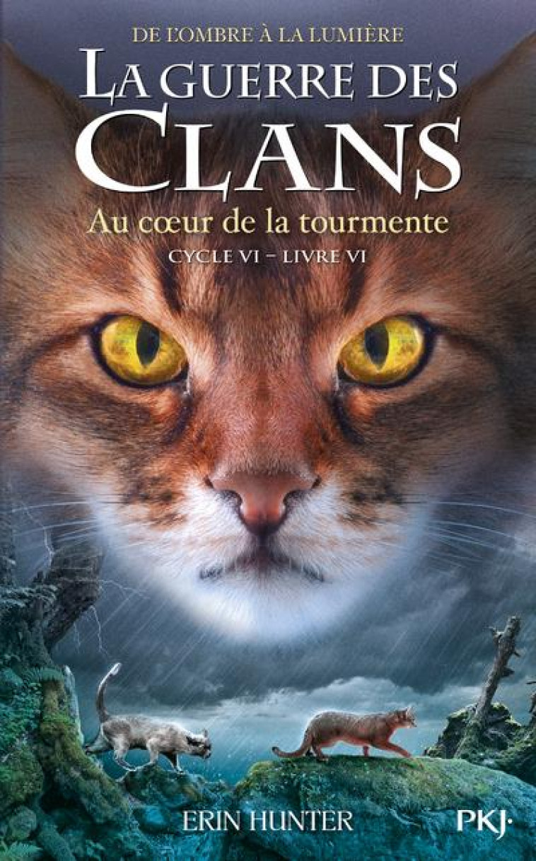 LA GUERRE DES CLANS, CYCLE VI - HUNTER ERIN - POCKET