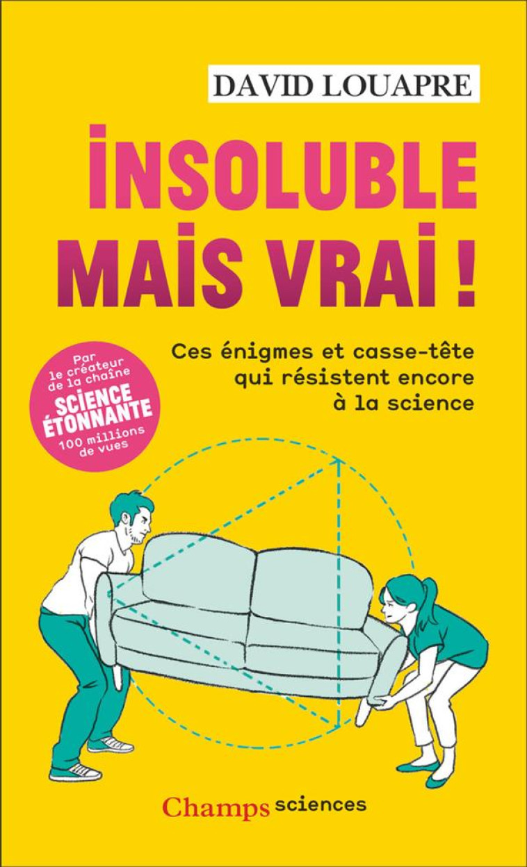 INSOLUBLE MAIS VRAI ! - CES EN - LOUAPRE DAVID - FLAMMARION