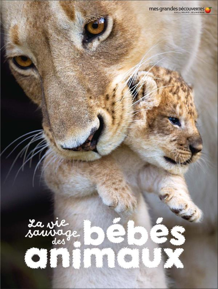 LA VIE SAUVAGE DES BEBES ANIMA - COLLECTIF - GALLIMARD