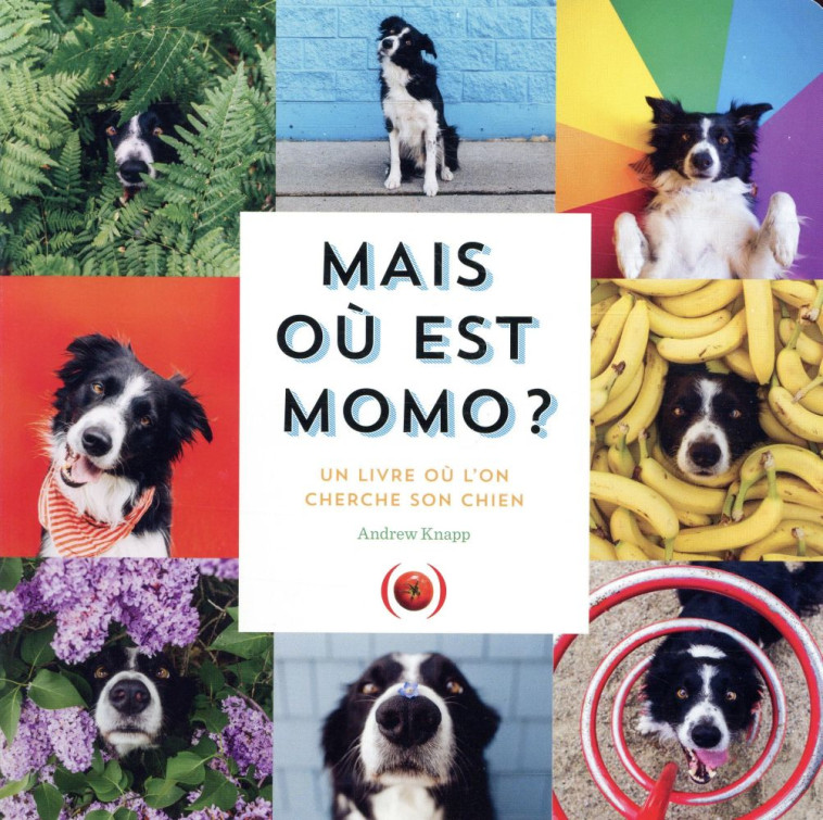 MAIS OU EST MOMO ? - KNAPP ANDREW - GRANDES PERSONN