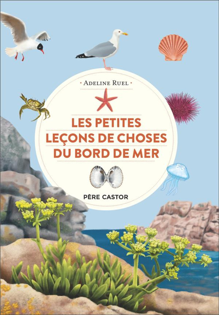 LES PETITES LECONS DE CHOSES D - RUEL ADELINE - FLAMMARION