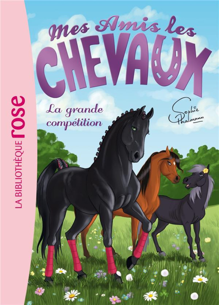 MES AMIS LES CHEVAUX SOPHIE TH - LIVRE HACHETTE - Hachette Jeunesse