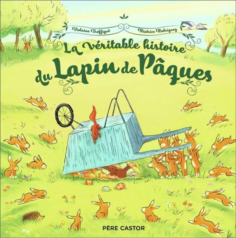 LA VERITABLE HISTOIRE DU LAPIN - RODRIGUEZ/TROFFIGUE - FLAMMARION