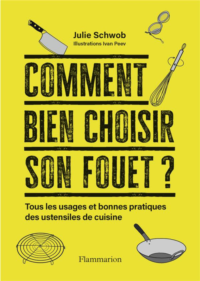 COMMENT BIEN CHOISIR SON FOUET - SCHWOB/PEEV - FLAMMARION