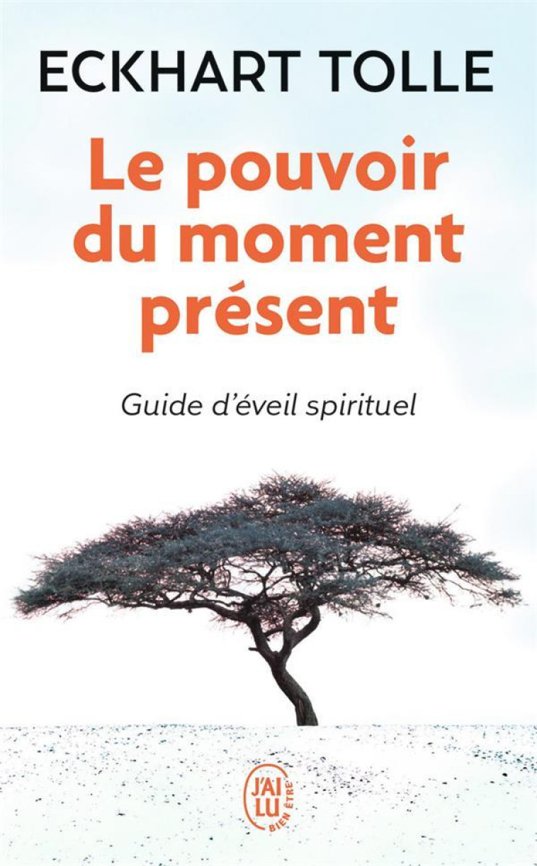 LE POUVOIR DU MOMENT PRESENT - TOLLE ECKHART - J'AI LU