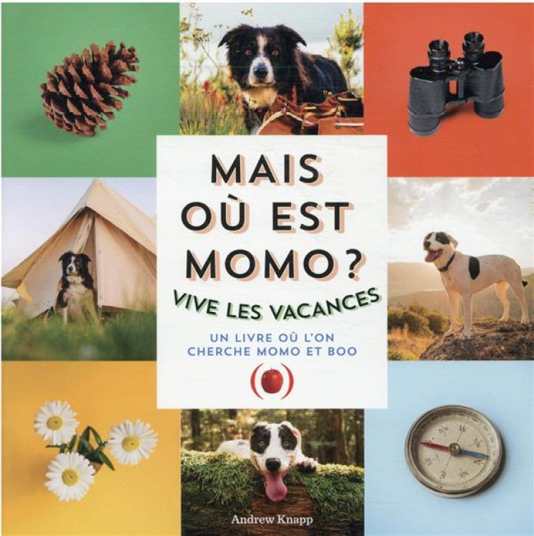 MAIS OU EST MOMO ? - VIVE LES - KNAPP ANDREW - GRANDES PERSONN