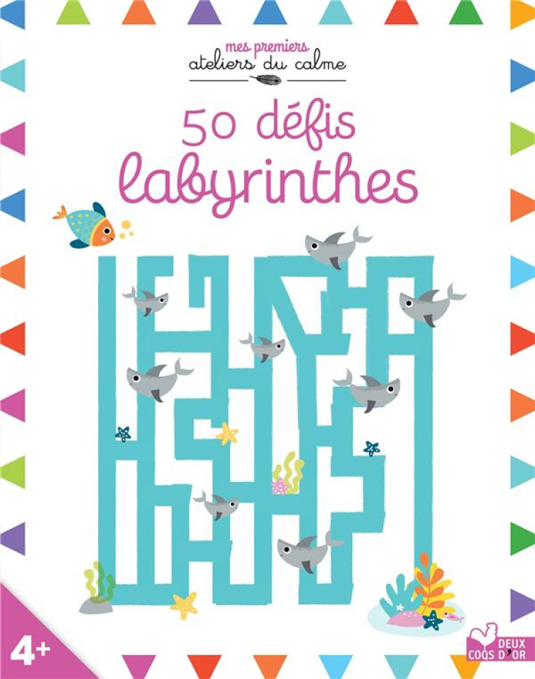 50 DEFIS LABYRINTHES - COLLECTIF - HACHETTE