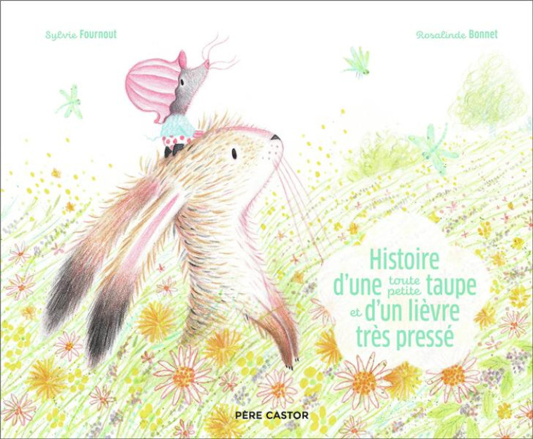 HISTOIRE D-UNE TOUTE PETITE TA - BONNET/FOURNOUT - FLAMMARION