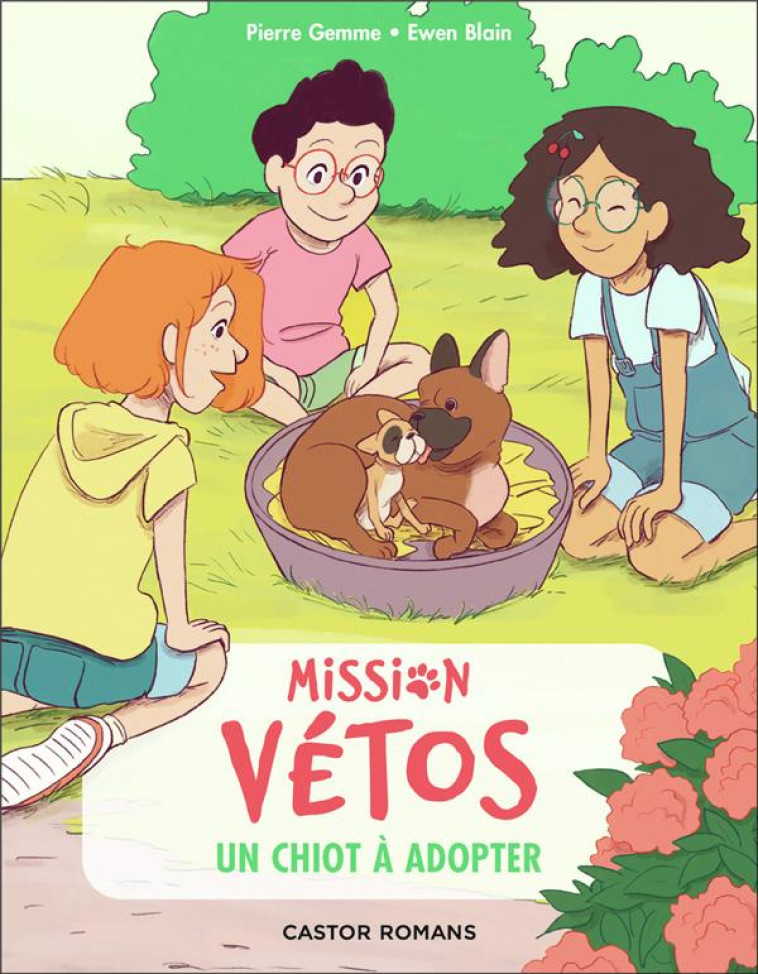 MISSION VETOS - T11 - UN CHIOT - GEMME/BLAIN - FLAMMARION