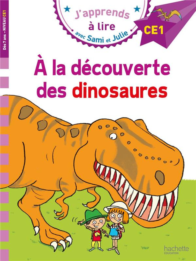 SAMI ET JULIE CE1 - A LA DECOU - MASSONAUD/BONTE - HACHETTE