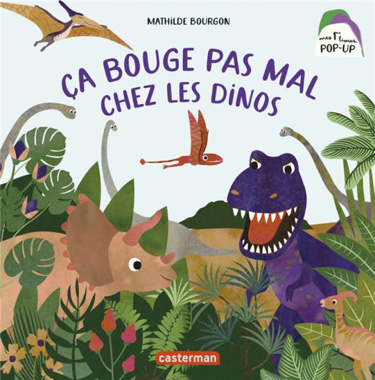 CA BOUGE PAS MAL CHEZ LES DINO - BOURGON MATHILDE - CASTERMAN