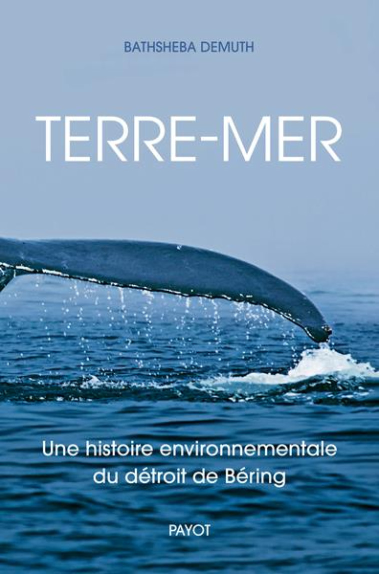 TERRE-MER - UNE HISTOIRE ENVIR - DEMUTH BATHSHEBA - PAYOT POCHE