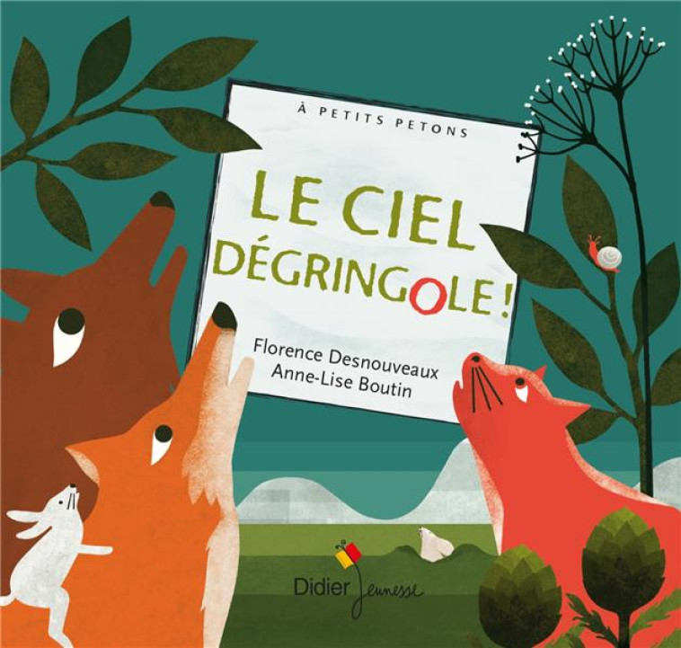 LE CIEL DEGRINGOLE ! - DESNOUVEAUX/BOUTIN - Didier Jeunesse