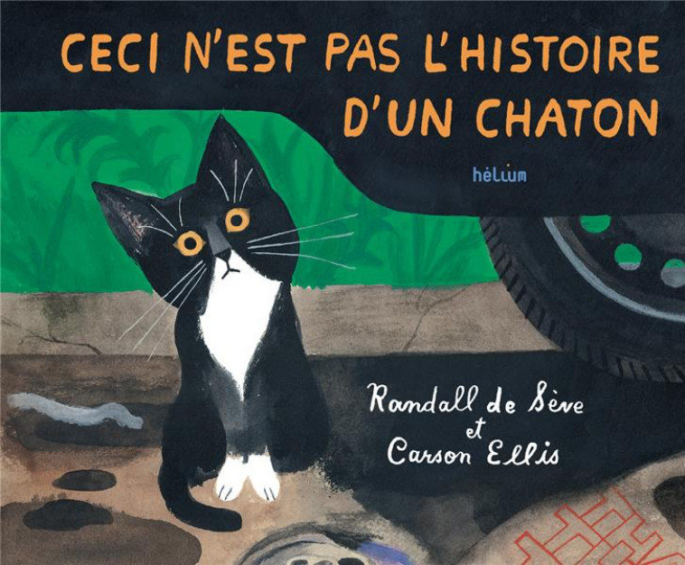 CECI N-EST PAS L-HISTOIRE D-UN - ELLIS/DE SEVE - ACTES SUD