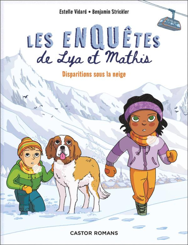 LES ENQUETES DE LYA ET MATHIS - VIDARD/STRICKLER - FLAMMARION