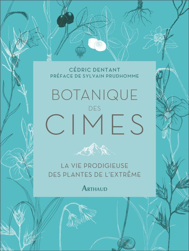 BOTANIQUE DES CIMES - DENTANT/PRUDHOMME - FLAMMARION