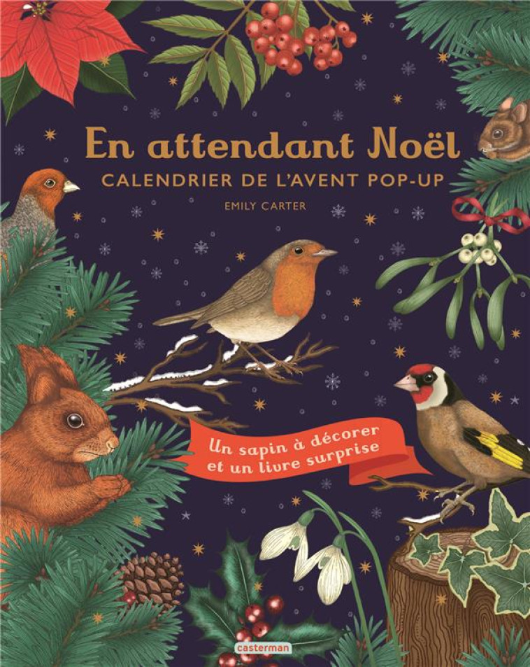 EN ATTENDANT NOEL - CALENDRIER - CARTER EMILY - CASTERMAN