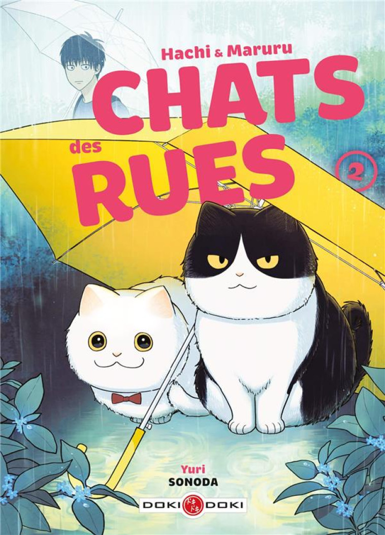 HACHI & MARURU - CHATS DES RUE - SONODA YURI - BAMBOO