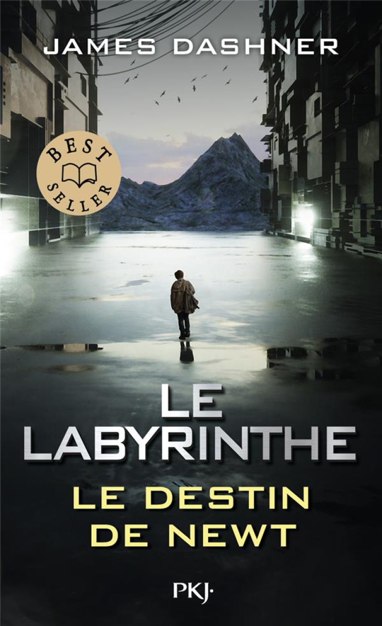 LE LABYRINTHE : LE DESTIN DE N - DASHNER JAMES - POCKET