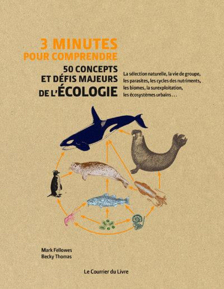 3 MINUTES POUR COMPRENDRE 50 C - FELLOWES/THOMAS - COURRIER LIVRE