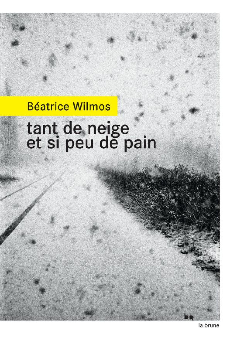 TANT DE NEIGE ET SI PEU DE PAI - WILMOS BEATRICE - ROUERGUE