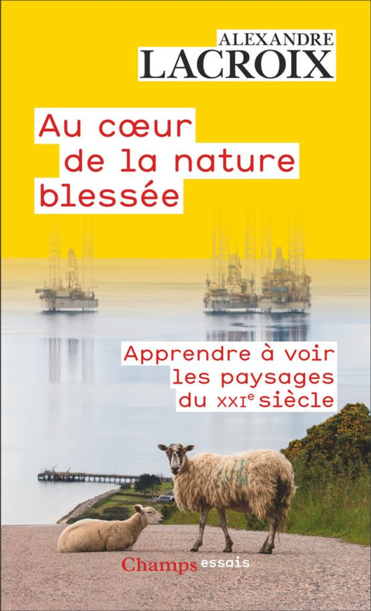 AU COEUR DE LA NATURE BLESSEE - LACROIX - FLAMMARION