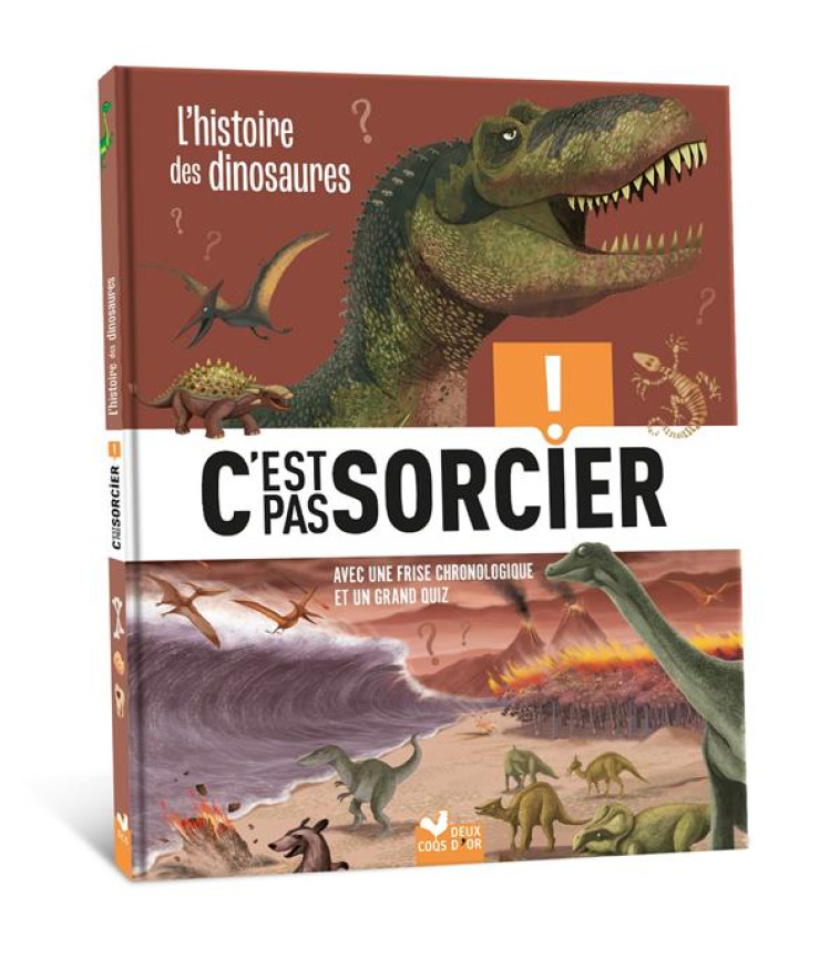 C-EST PAS SORCIER - L-HISTOIRE - COLLECTIF - HACHETTE