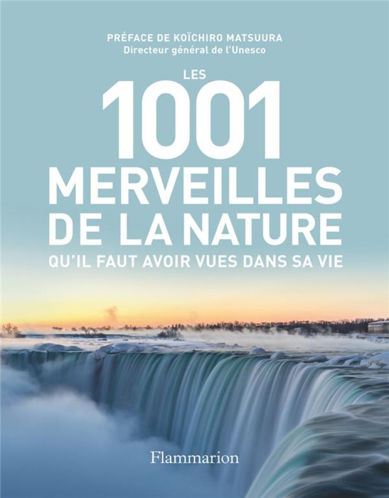 LES 1001 MERVEILLES DE LA NATU - COLLECTIF/MATSUURA - FLAMMARION