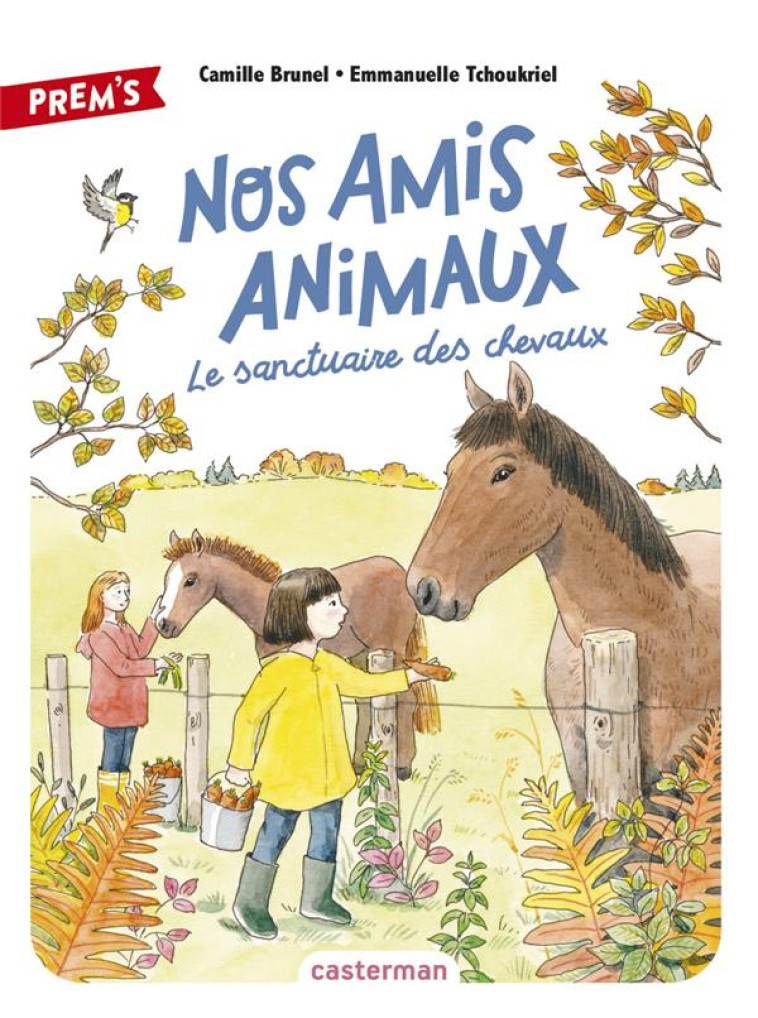 NOS AMIS ANIMAUX - VOL03 - LE - BRUNEL/TCHOUKRIEL - CASTERMAN