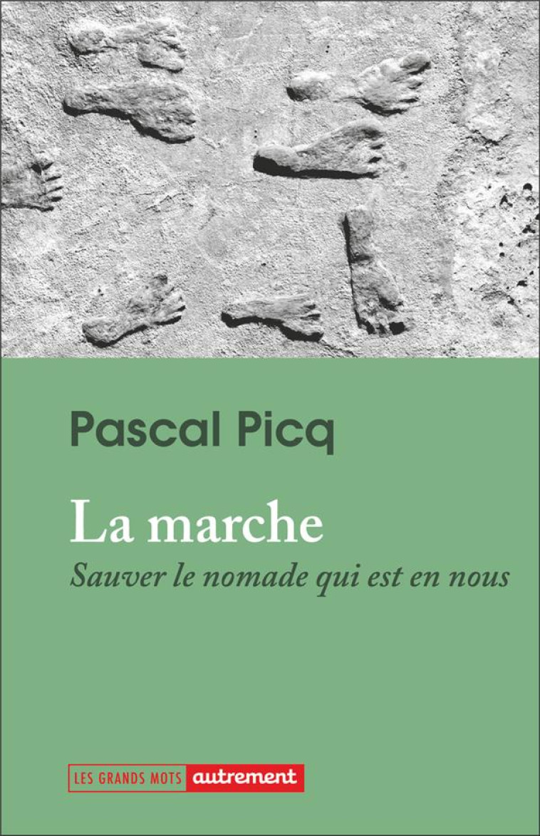 LA MARCHE - SAUVER LE NOMADE Q - PICQ PASCAL - FLAMMARION