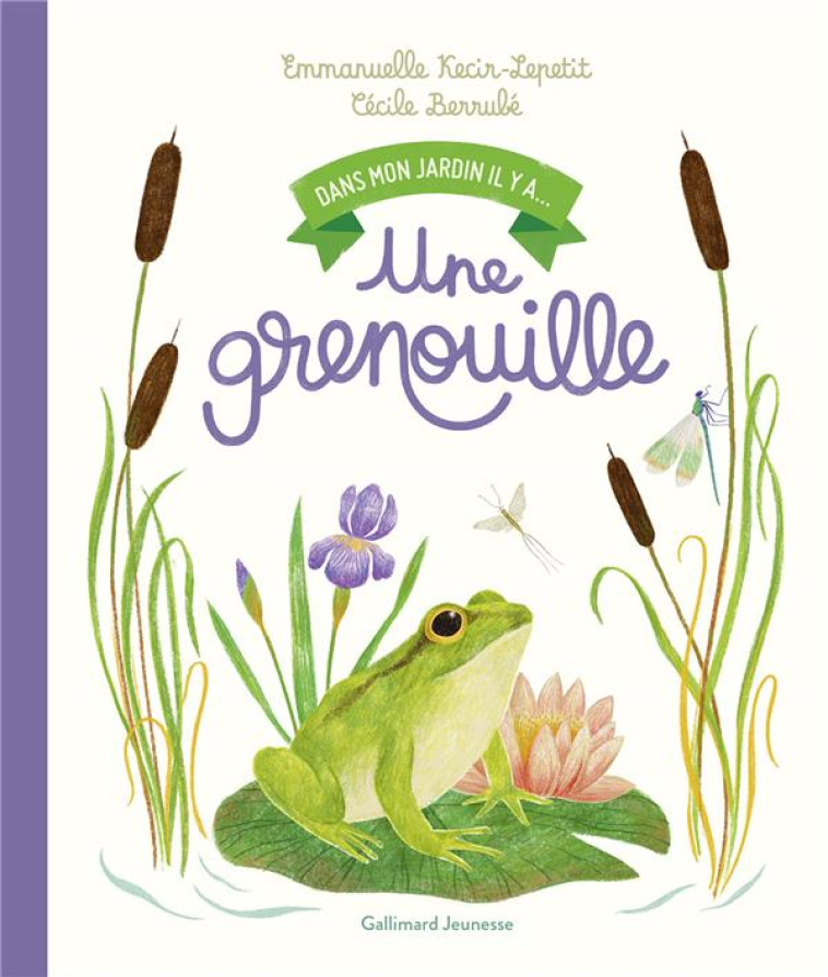 UNE GRENOUILLE - KECIR-LEPETIT - GALLIMARD