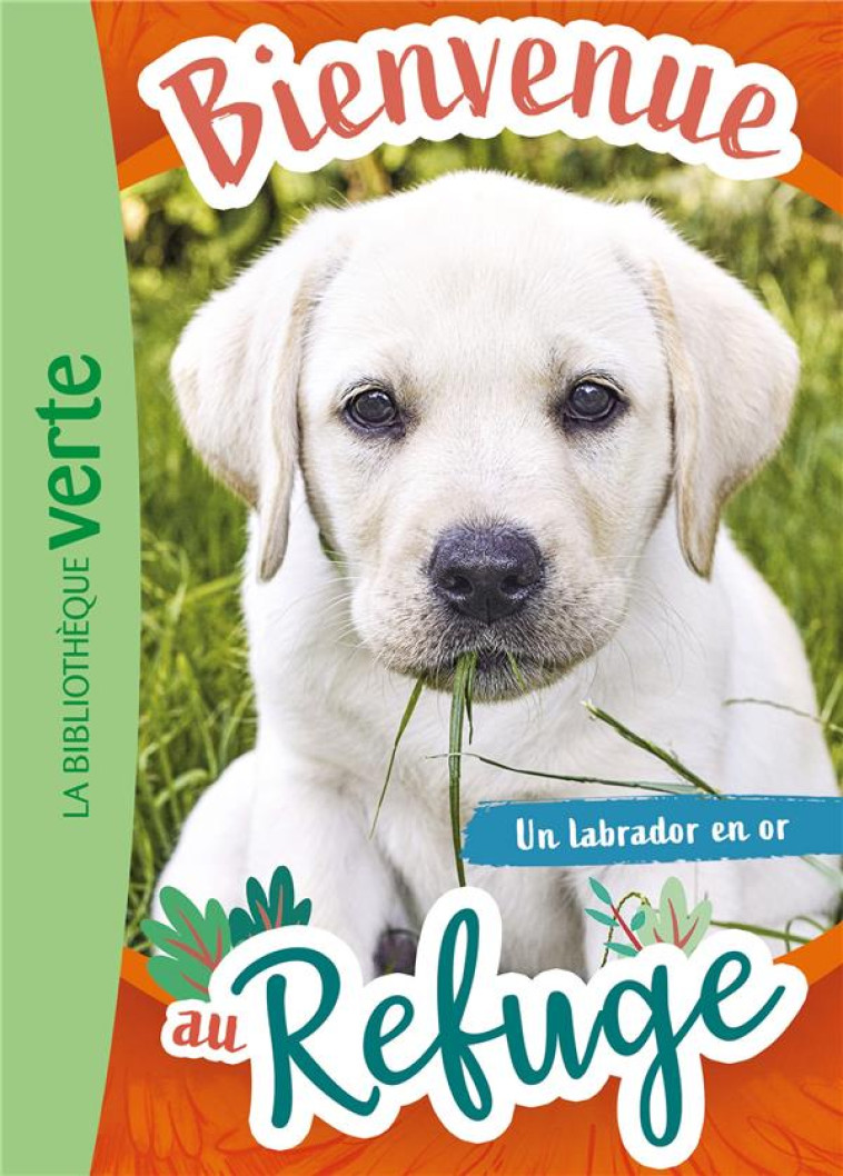 BIENVENUE AU REFUGE - T08 - BI - LIVRE HACHETTE - HACHETTE