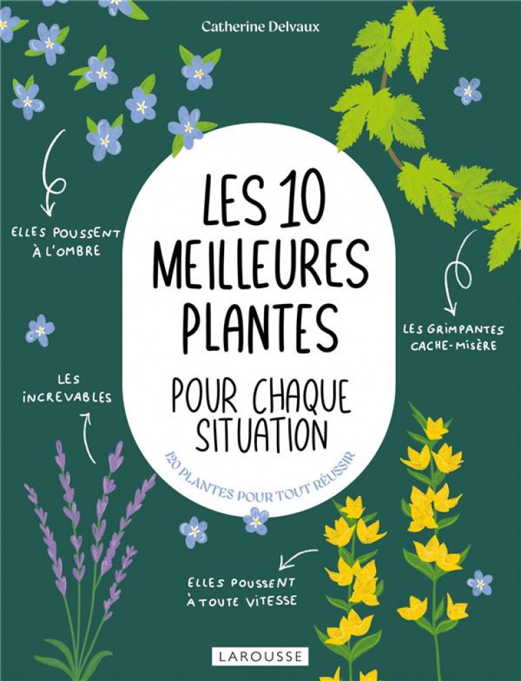 LES 10 MEILLEURES PLANTES POUR - DELVAUX CATHERINE - LAROUSSE