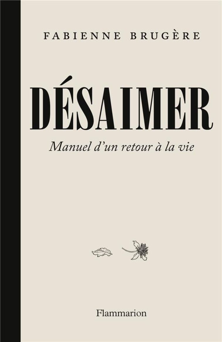 DESAIMER - MANUEL D-UN RETOUR - BRUGERE FABIENNE - FLAMMARION