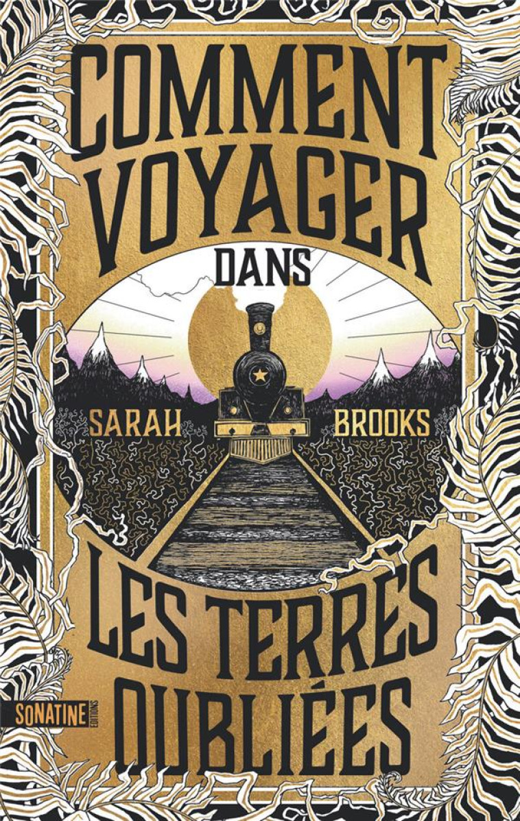 COMMENT VOYAGER DANS LES TERRE - BROOKS SARAH - SONATINE