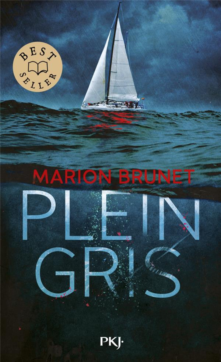 PLEIN GRIS - BRUNET MARION - POCKET