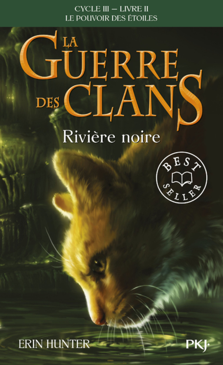 La guerre des Clans cycle III Le pouvoir des étoiles - tome 2 Rivière noire - Hunter Erin, Carlier Aude - POCKET JEUNESSE