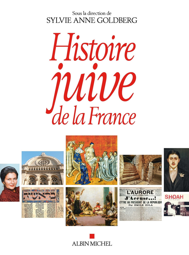 Histoire juive de la France - Goldberg Sylvie-Anne,   - ALBIN MICHEL