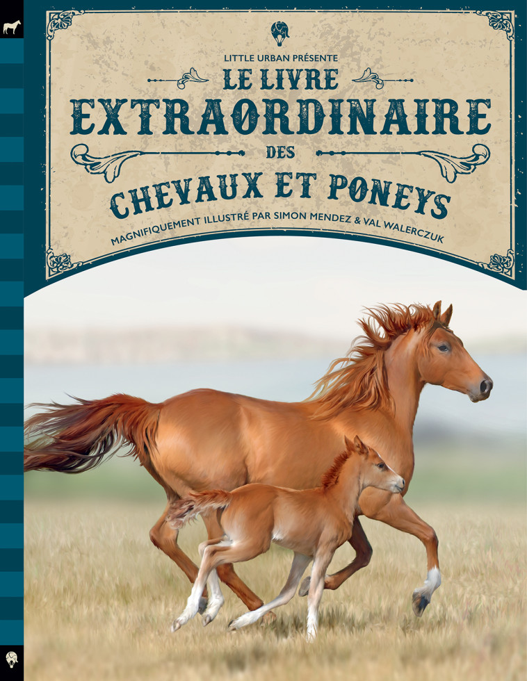 Le Livre extraordinaire des chevaux - WALERCZUK Val WALERCZUK Val, Mendez Simon Mendez Simon, Ferguson Diana Ferguson Diana, JACKSON Tom JACKSON Tom - LITTLE URBAN