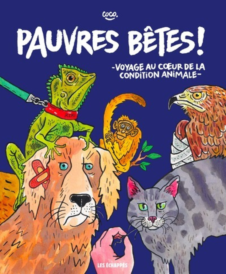 Pauvres bêtes ! - Voyage au coeur de la condition animale - . Coco, . Coco - ECHAPPES