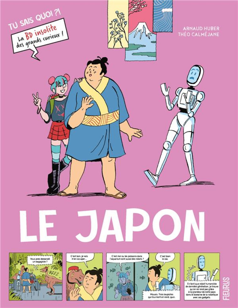 LE JAPON - HUBER/CALMEJANE - FLEURUS