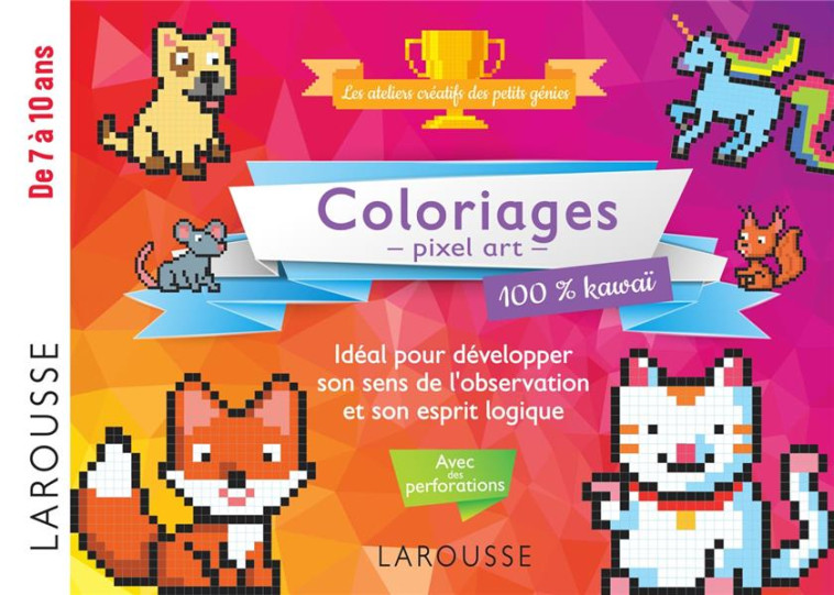 20 COLORIAGES EN PIXEL POUR ES - BOYER A. - LAROUSSE