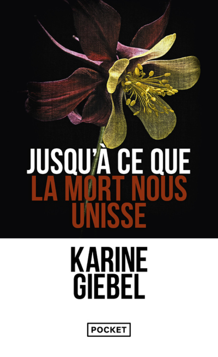 Jusqu'à ce que la mort nous unisse - Karine Giebel - POCKET